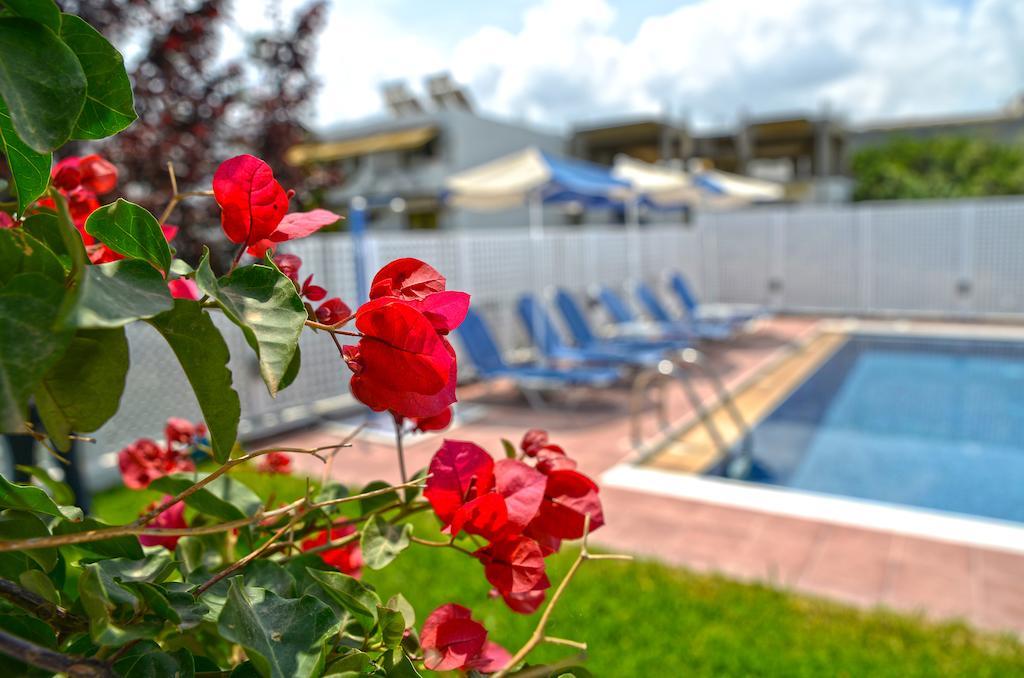 פלטאנס Oliv Apartments חדר תמונה