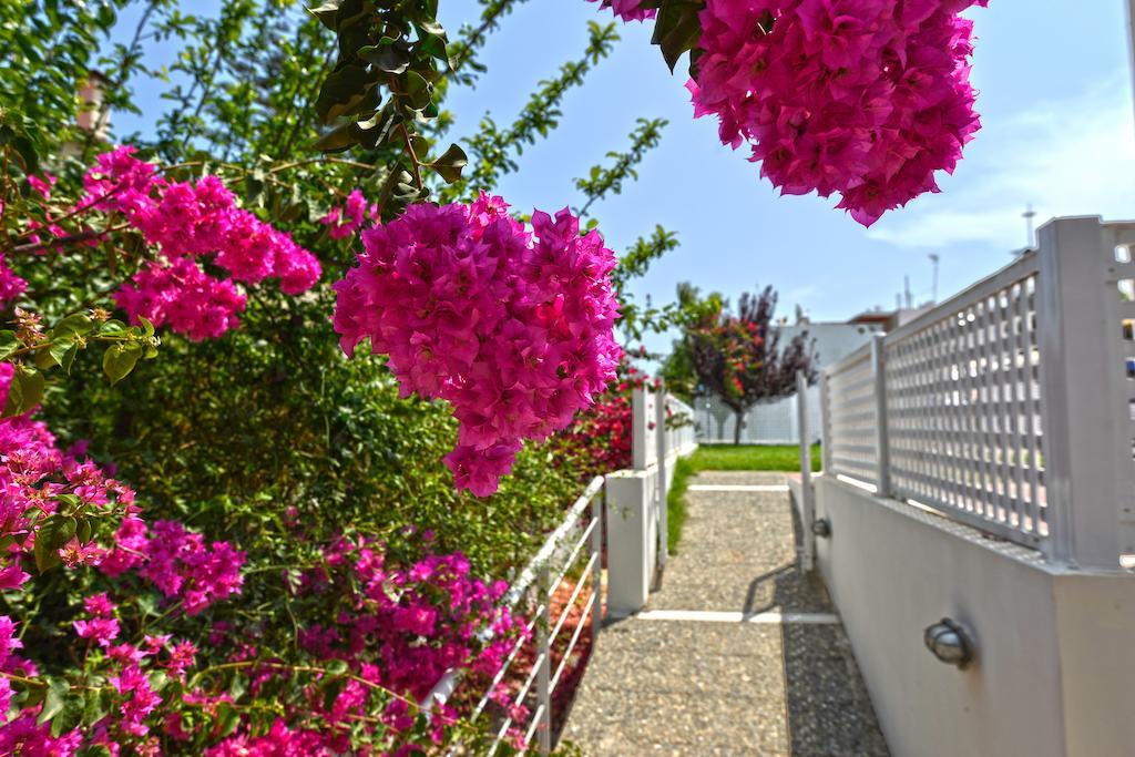 פלטאנס Oliv Apartments חדר תמונה